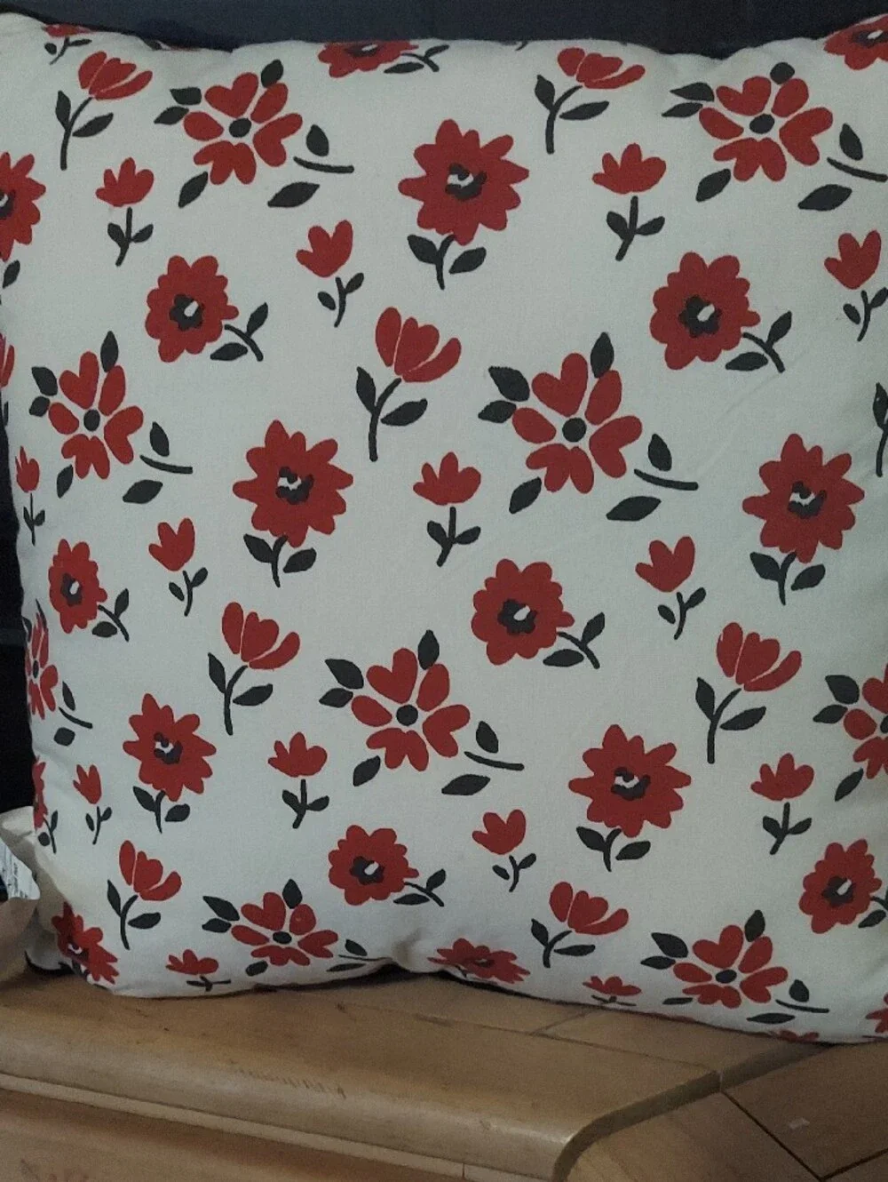 Throw Pillow with 